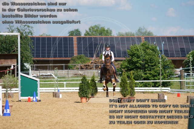 s_K3F06940.JPG